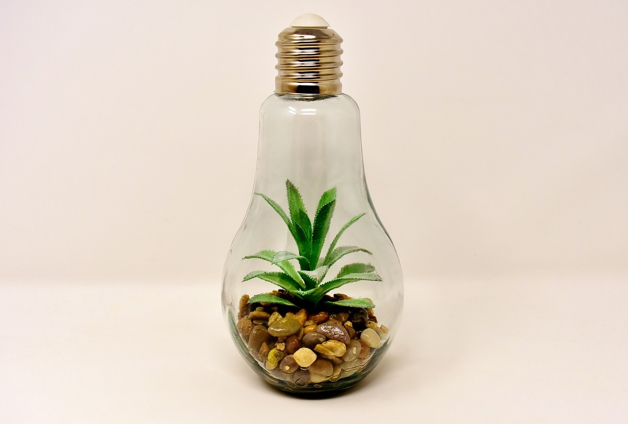 一圖看懂植物照明