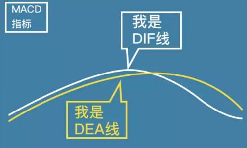 大家經常念叨的MACD是個啥？